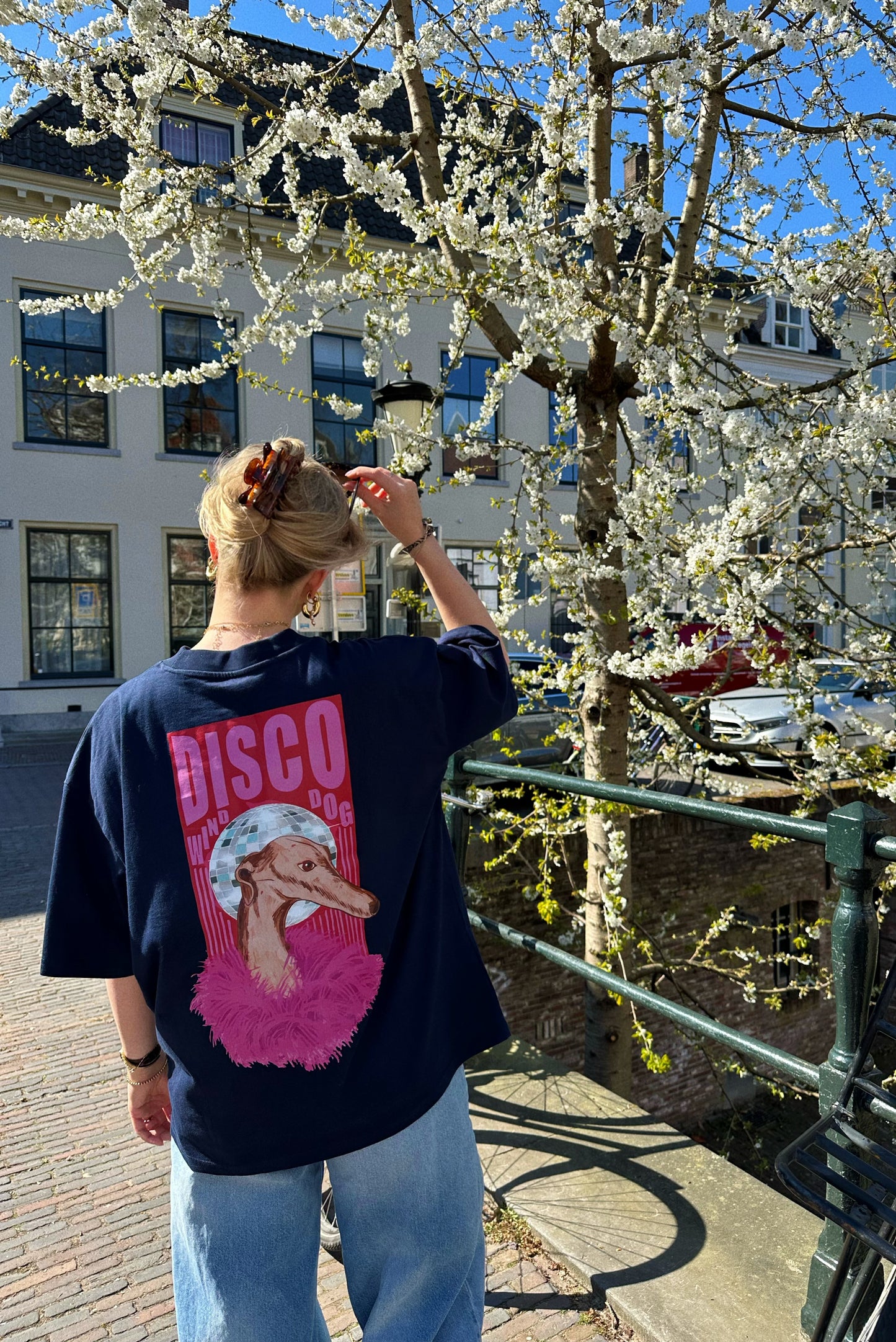 Disco Dog blauw