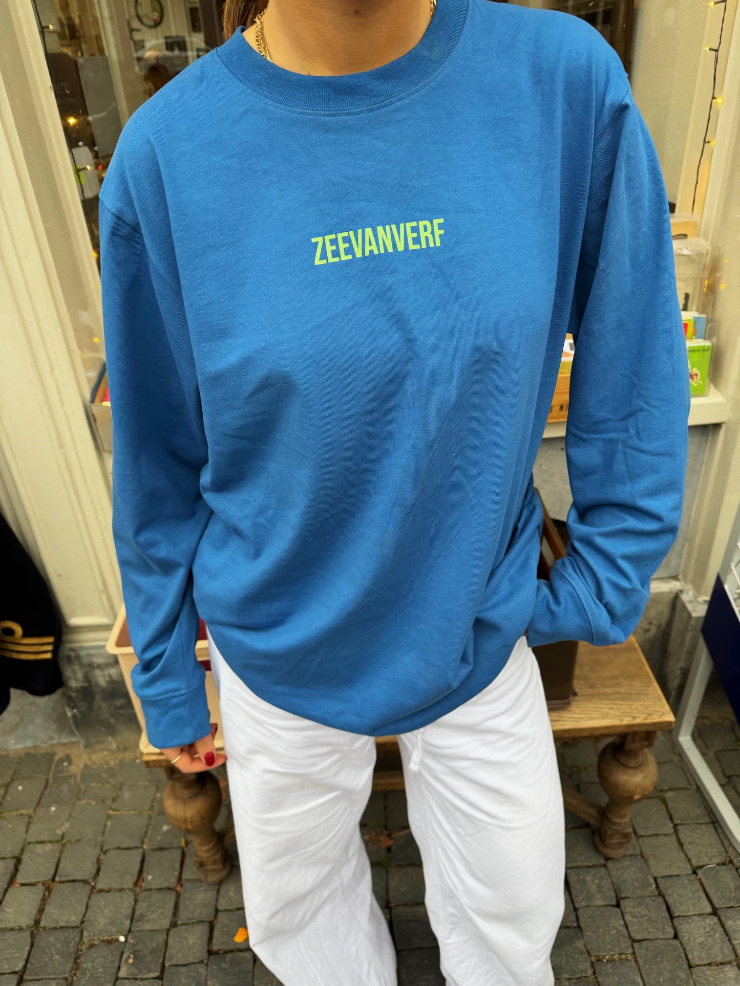 Skate gans longsleeve blauw