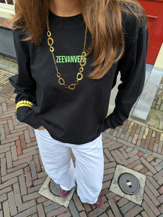 Skate gans longsleeve