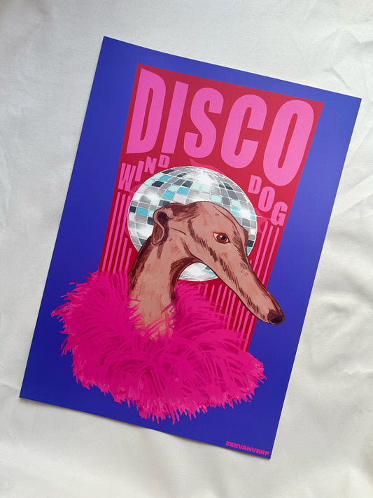 Disco Dog poster