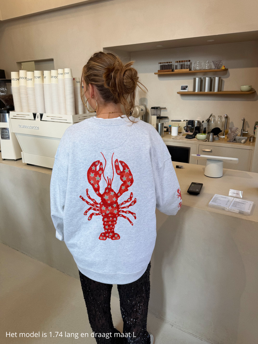 Lobster sweater