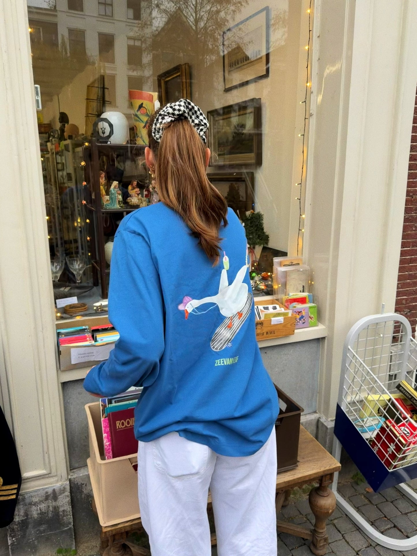 Skate gans longsleeve blauw