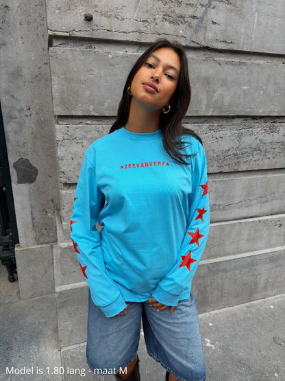 Leopard longsleeve